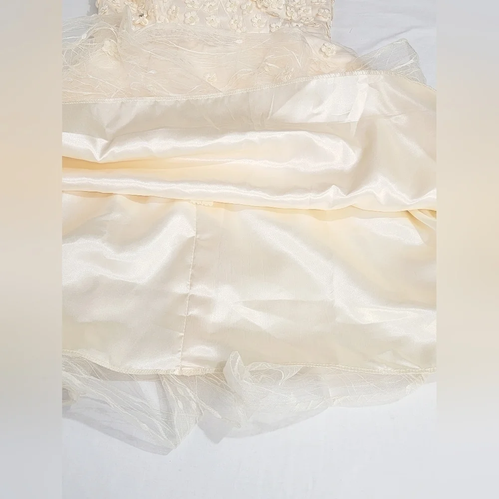 TS COUTURE Women's Size 2/4 Sleeveless Dress, Lined, Tulle skirt, Embroi…